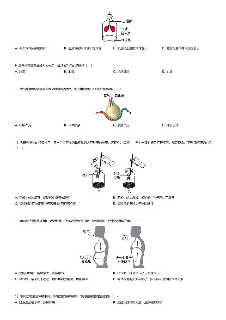2024~2025学年北京朝阳区初一下学期期末生物试卷（有答案解析）第2页