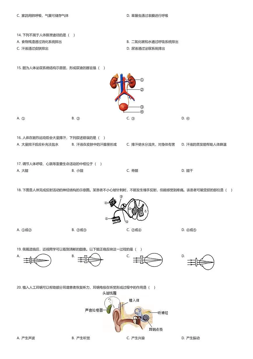 2024~2025学年北京朝阳区初一下学期期末生物试卷（有答案解析）第3页