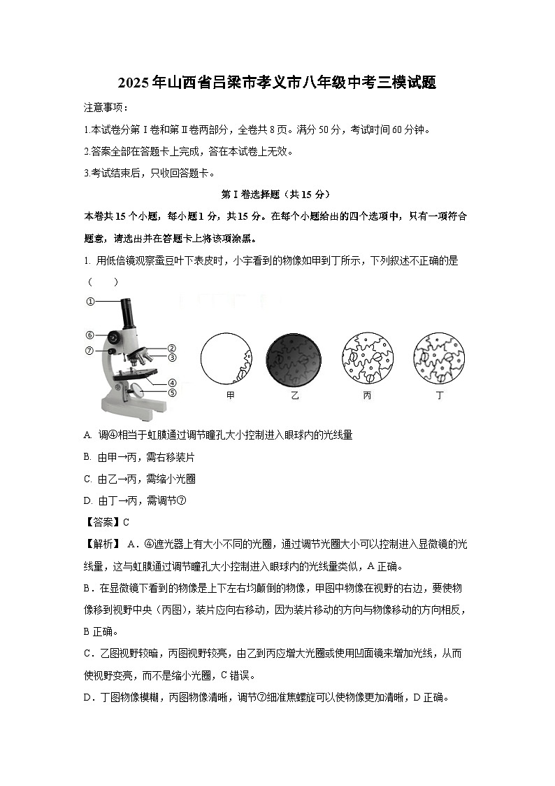 2025年山西省吕梁市孝义市八年级中考三模生物试题（解析版）第1页