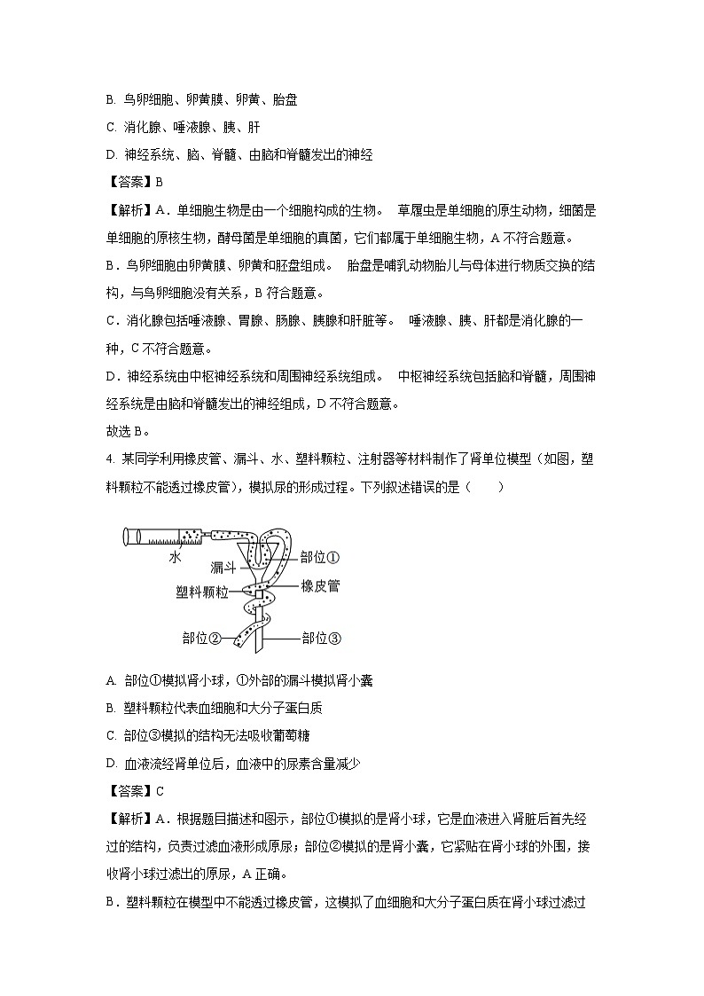 2025年山西省吕梁市孝义市八年级中考三模生物试题（解析版）第3页