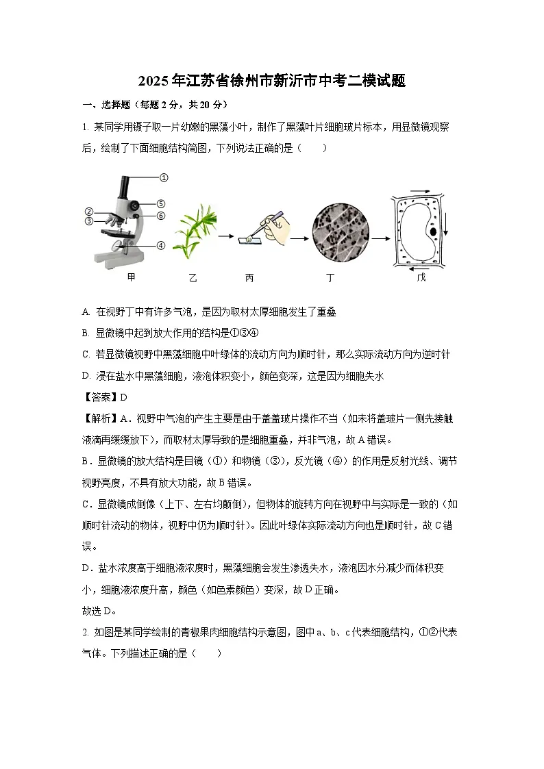 2025年江苏省徐州市新沂市中考二模生物试题（解析版）第1页