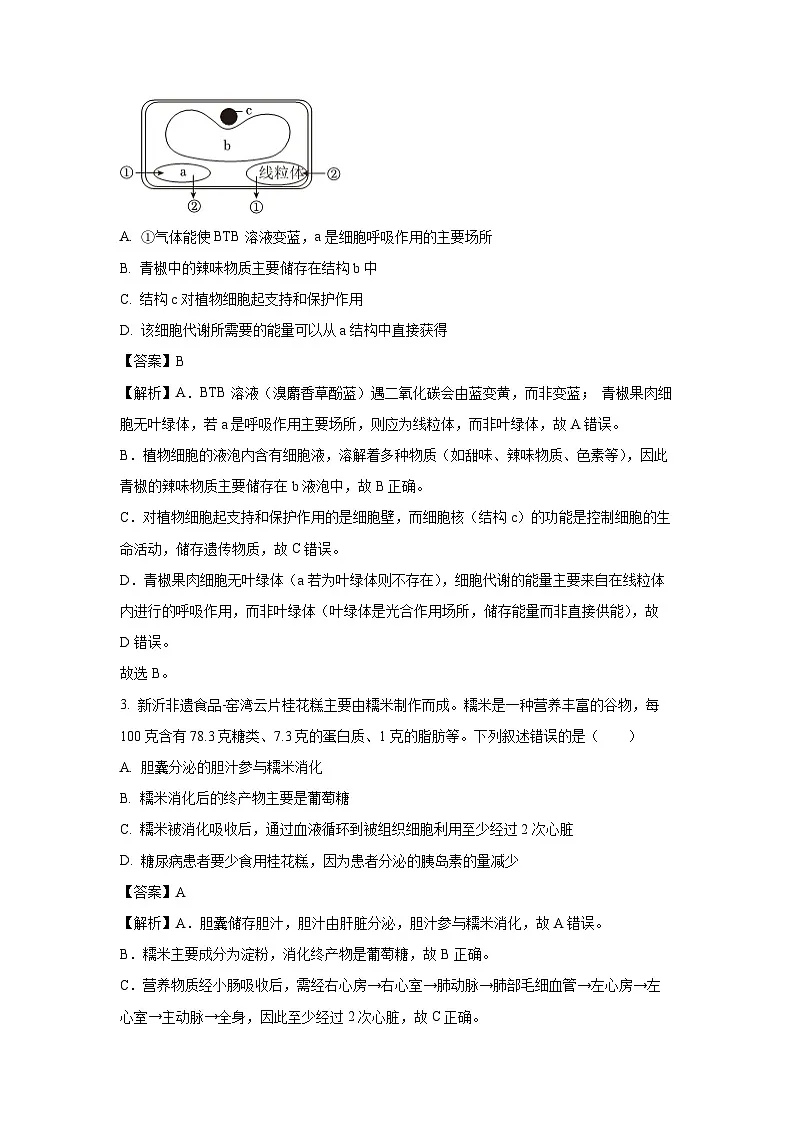 2025年江苏省徐州市新沂市中考二模生物试题（解析版）第2页