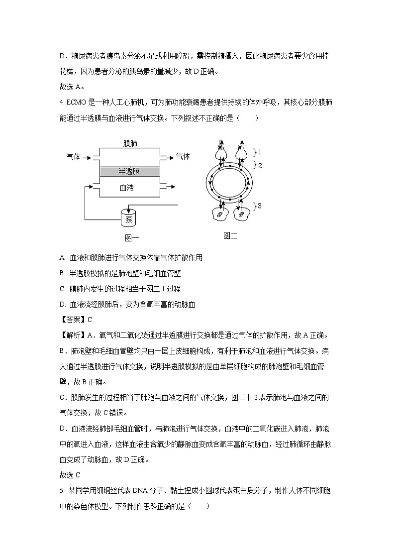2025年江苏省徐州市新沂市中考二模生物试题（解析版）第3页