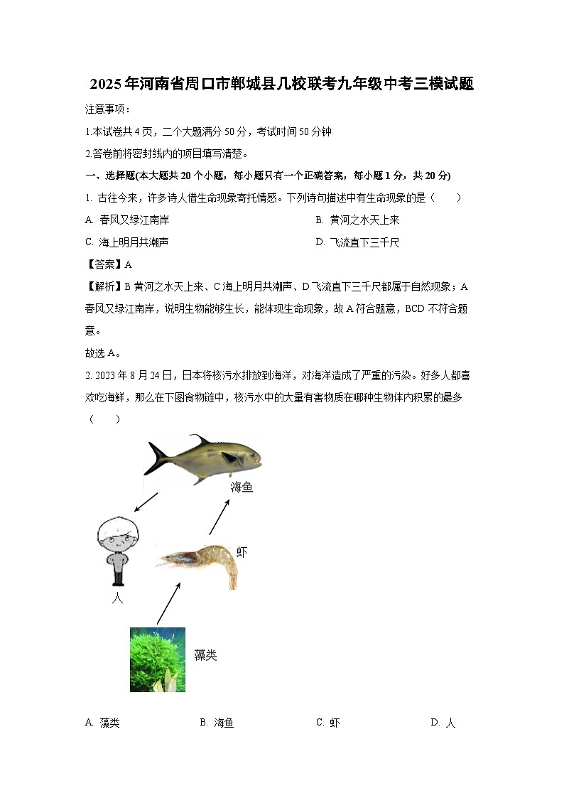 2025年河南省周口市郸城县几校联考九年级中考三模生物试题（解析版）第1页