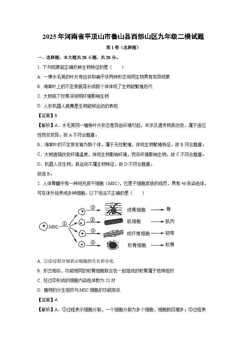 2025年河南省平顶山市鲁山县西部山区九年级二模生物试题（解析版）第1页