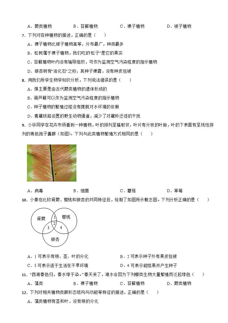 【苏教版2024】2025-2026生物七年级生物第三章形形色色的藻类和植物 单元基础卷（有答案）第2页