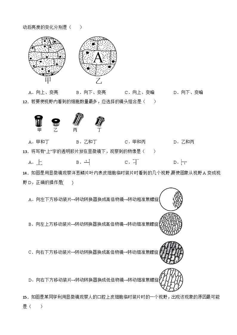【苏教版2024】2025-2026生物七年级生物第一章认识细胞单元提高卷（有答案）第3页