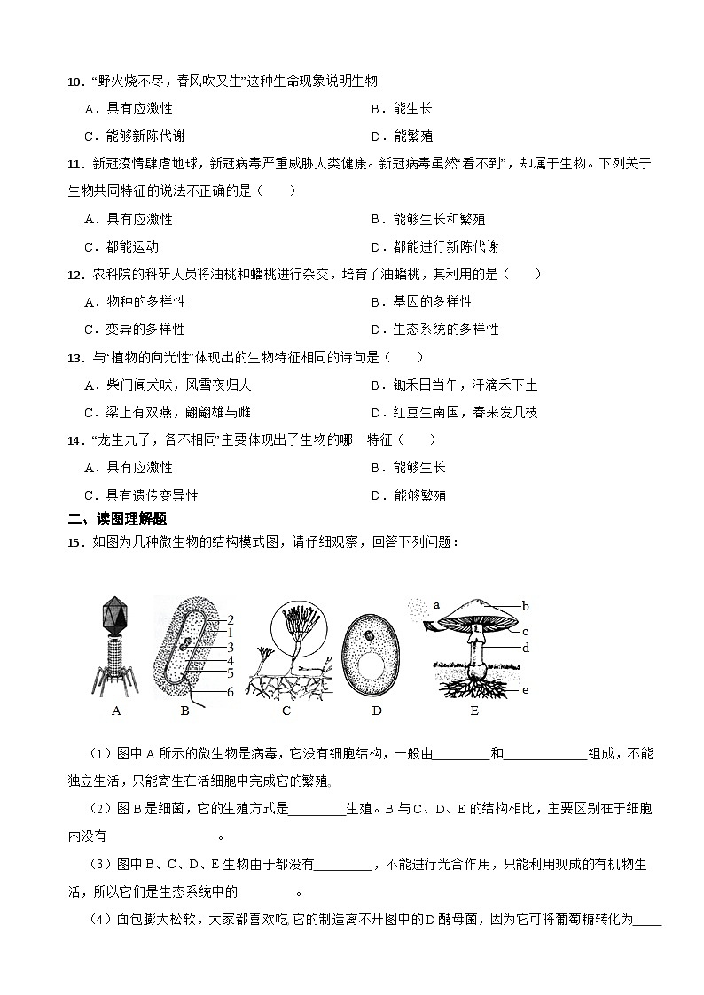 2025-2026北师大2024版生物七年级上册《形形色色的生物》同步练习（有答案）第2页