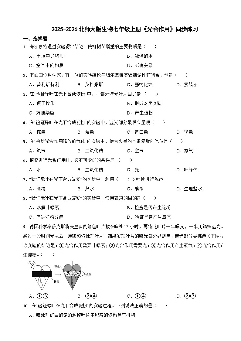 2025-2026北师大版生物七年级上册《光合作用》同步练习（有答案）第1页