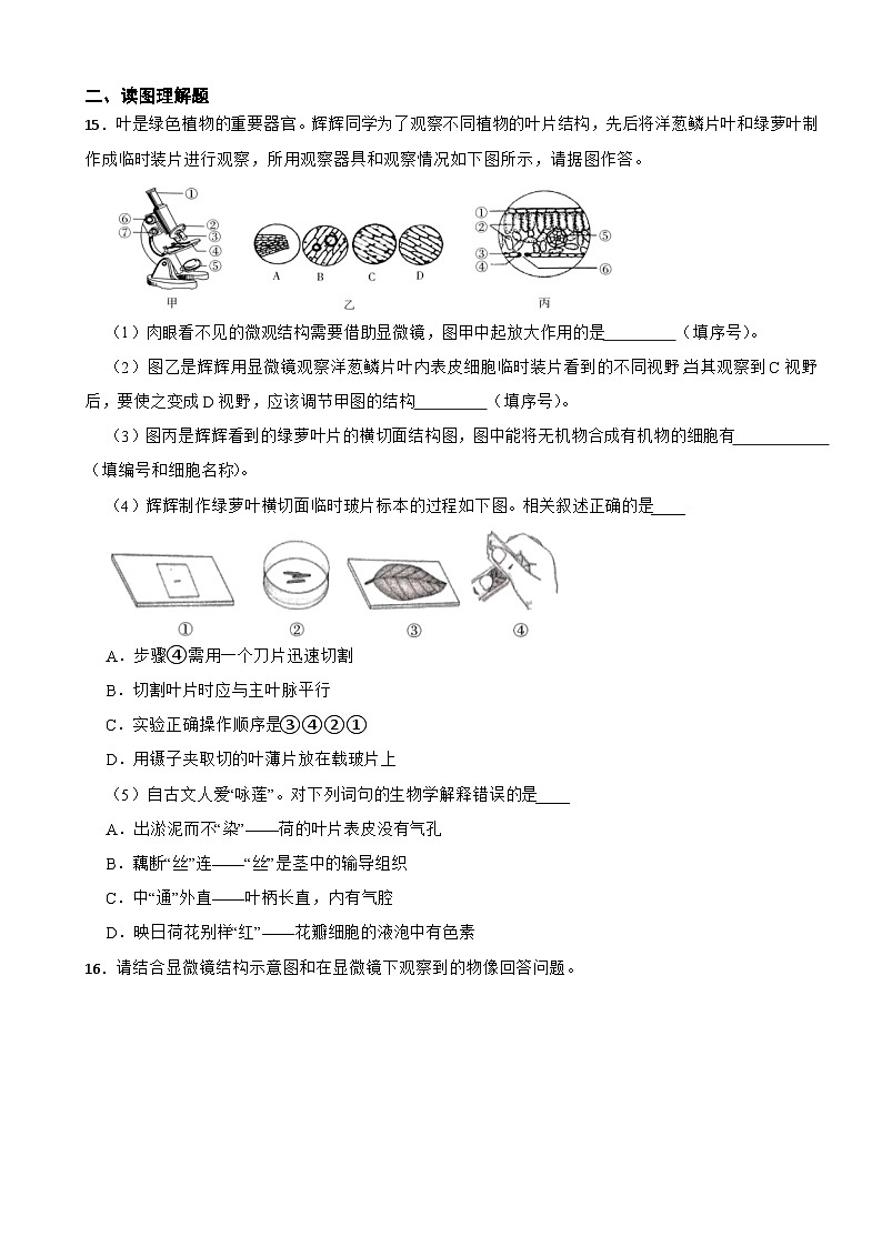 2025-2026北师大版生物七年级上册《光合作用》同步练习（有答案）第3页
