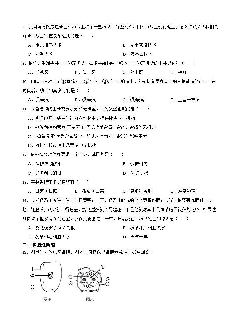 2025-2026北师大版生物七年级上册《吸收作用》同步练习（有答案）第2页