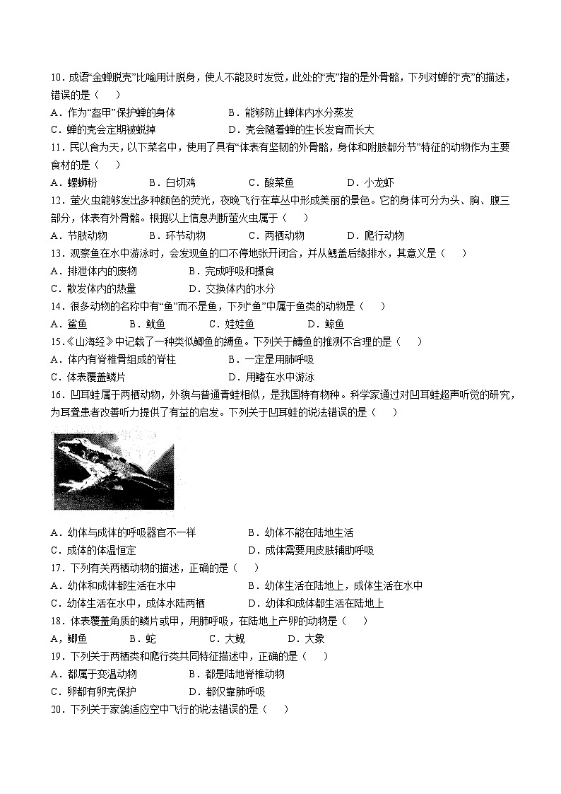 【8生（RJ）第一次月考】六安市霍邱县2024-2025学年八年级上学期10月月考生物试题第2页
