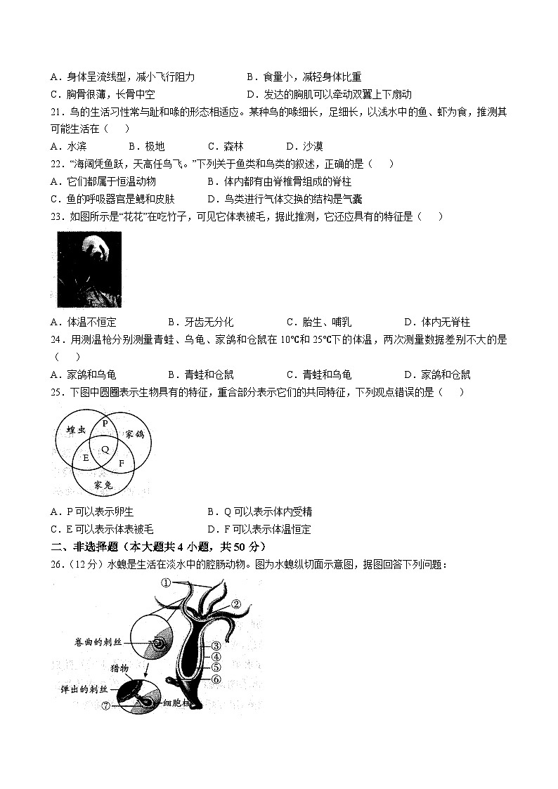 【8生（RJ）第一次月考】六安市霍邱县2024-2025学年八年级上学期10月月考生物试题第3页
