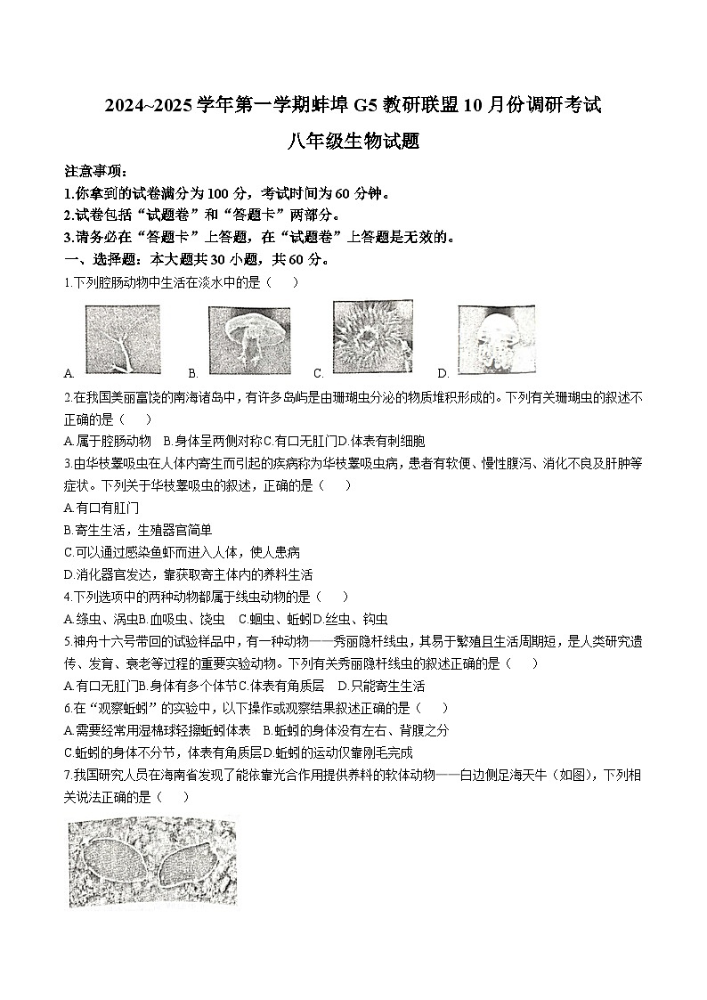 【8生（RJ）第一次月考】蚌埠市蚌山区G5教育联盟2024-2025学年八年级上学期10月月考生物试题第1页