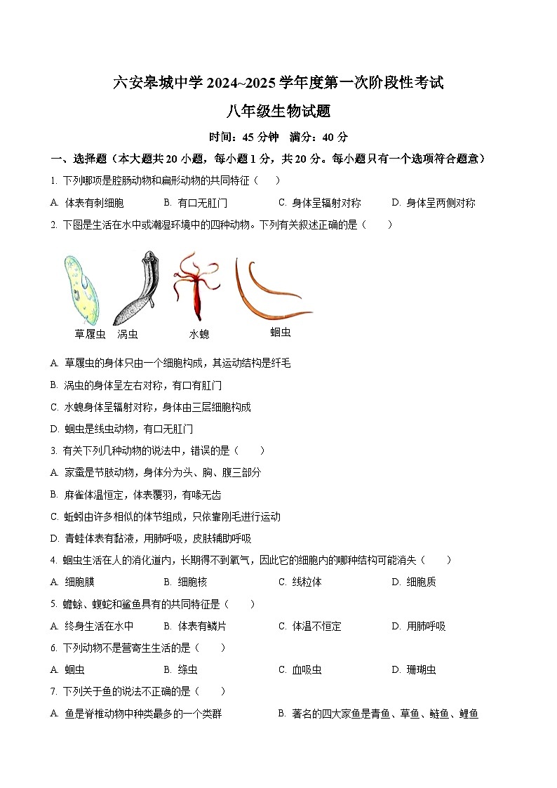 【8生（RJ）第一次月考】六安市金安区六安皋城中学2024-2025学年八年级上学期10月月考生物试题第1页