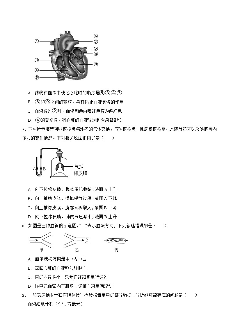 2025-2026苏教2024版八年级生物上册期中考前提升练习（有答案）第2页
