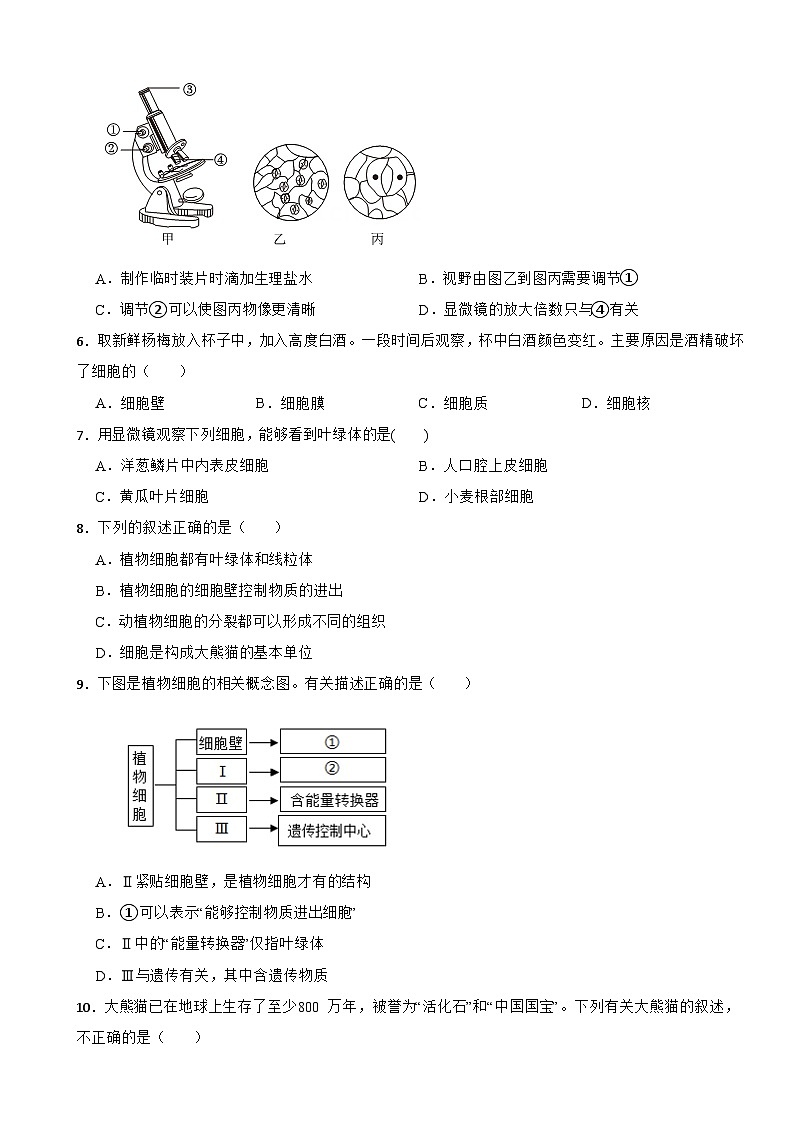 2025-2026苏教2024版七年级生物上册期中测试卷（有答案）第2页