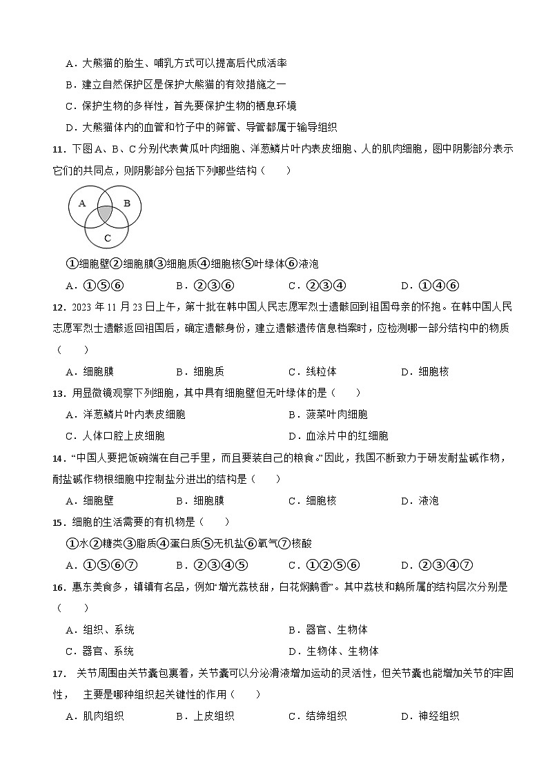 2025-2026苏教2024版七年级生物上册期中测试卷（有答案）第3页
