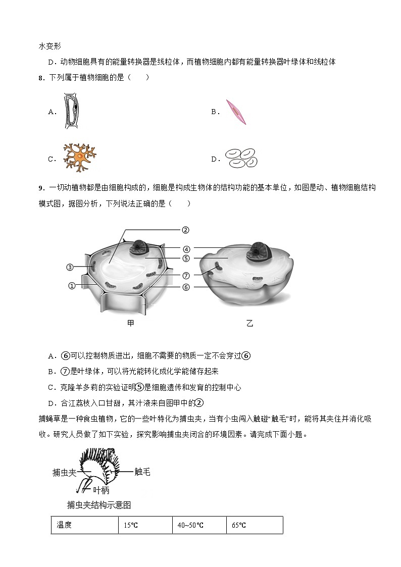 2025-2026苏教2024版七年级生物上册期中考前提升练习（有答案）第2页