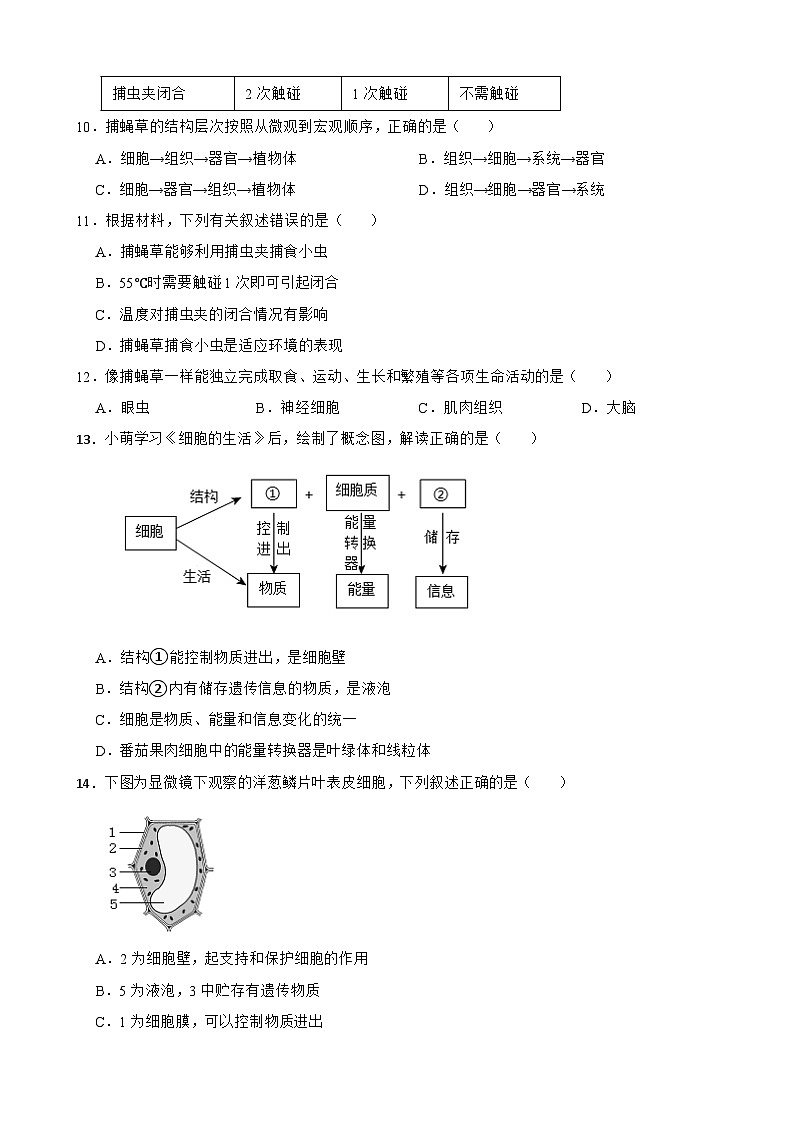2025-2026苏教2024版七年级生物上册期中考前提升练习（有答案）第3页