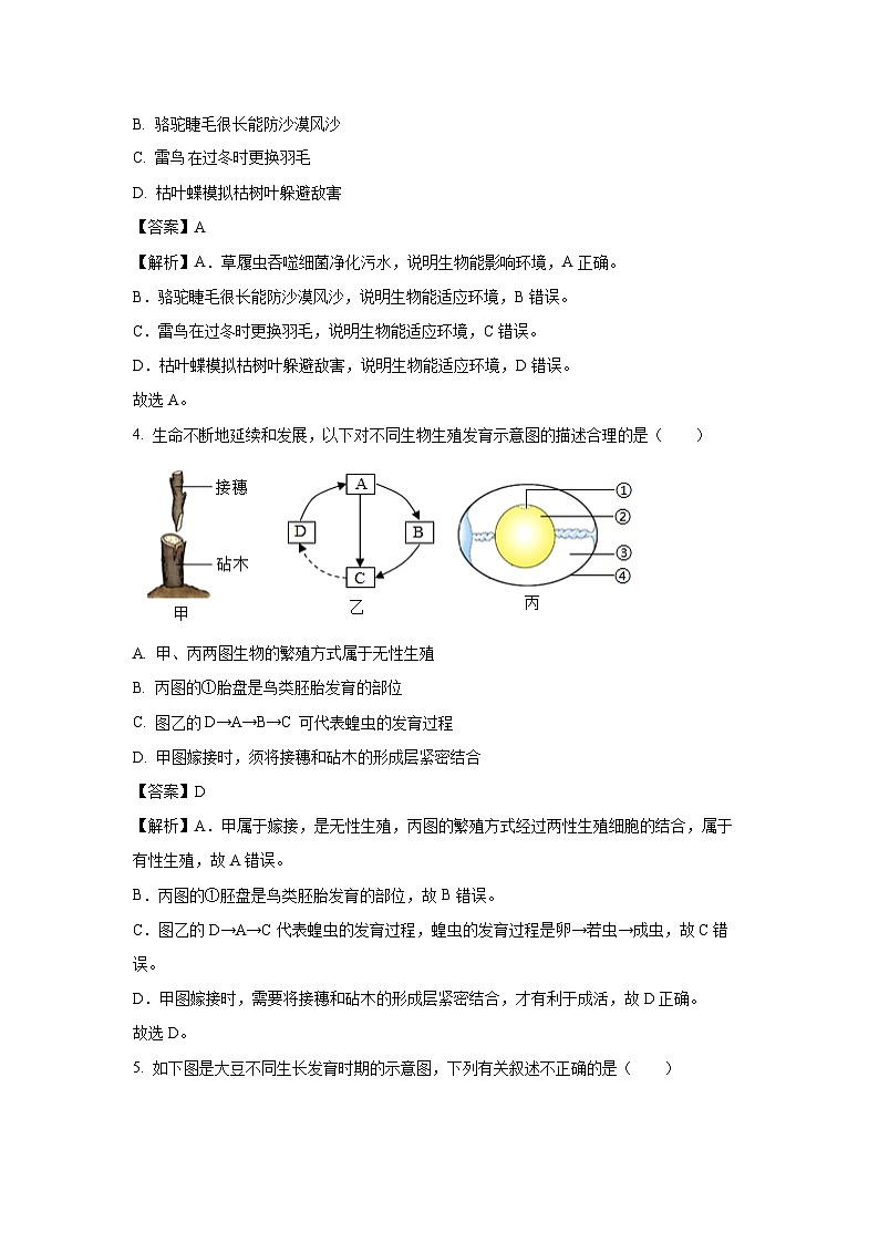 2025年山东省济南市高新区八年级中考一模生物试卷（解析版）第3页