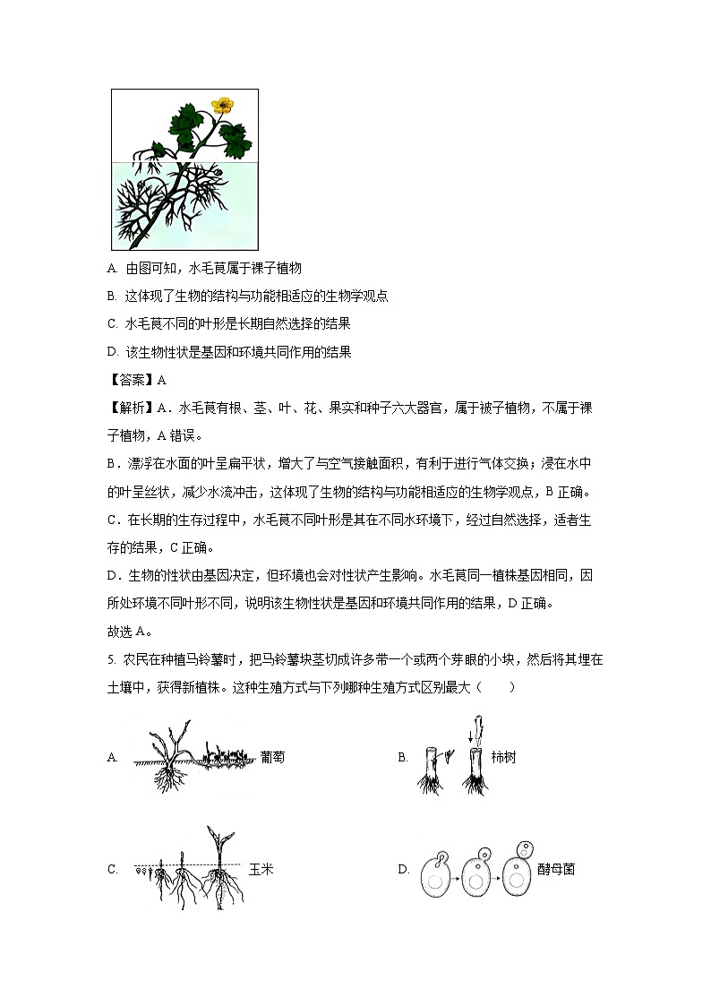2025年内蒙古包头市青山区八年级中考模拟生物试卷（解析版）第3页