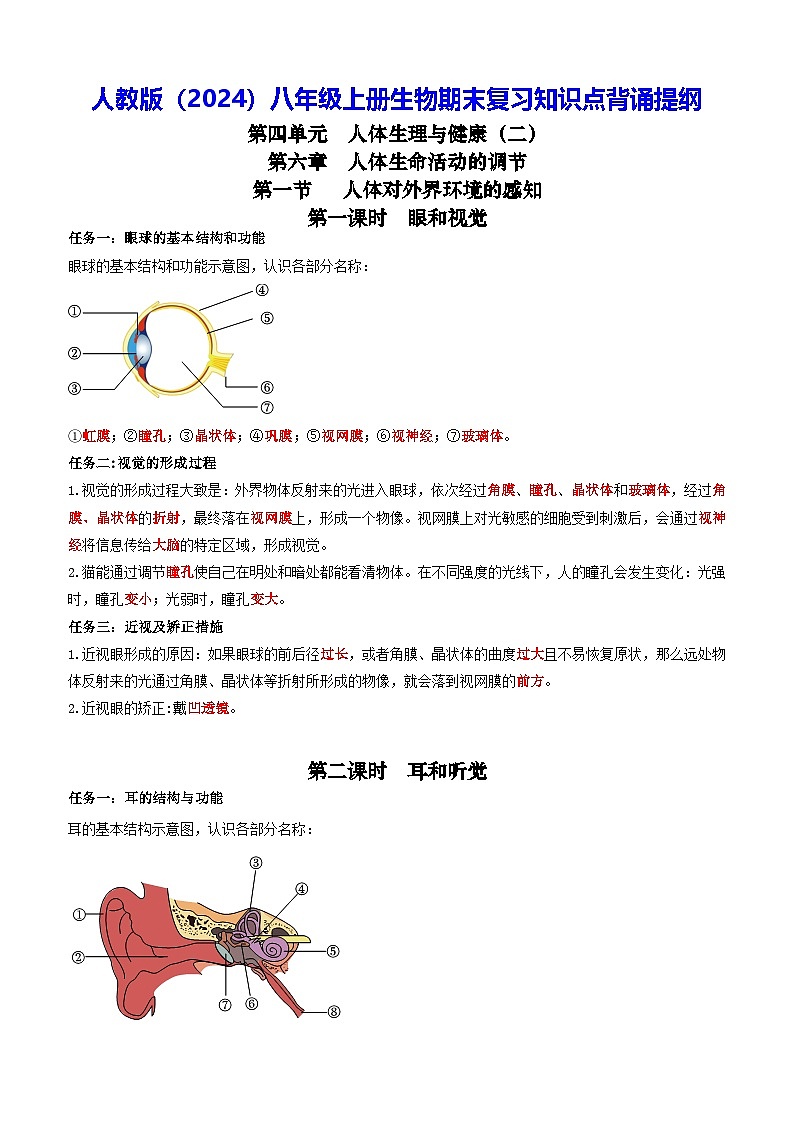 人教版（2024）八年级上册生物期末复习知识点背诵提纲 学案第1页