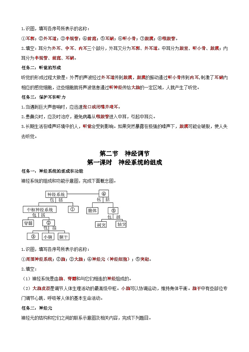 人教版（2024）八年级上册生物期末复习知识点背诵提纲 学案第2页