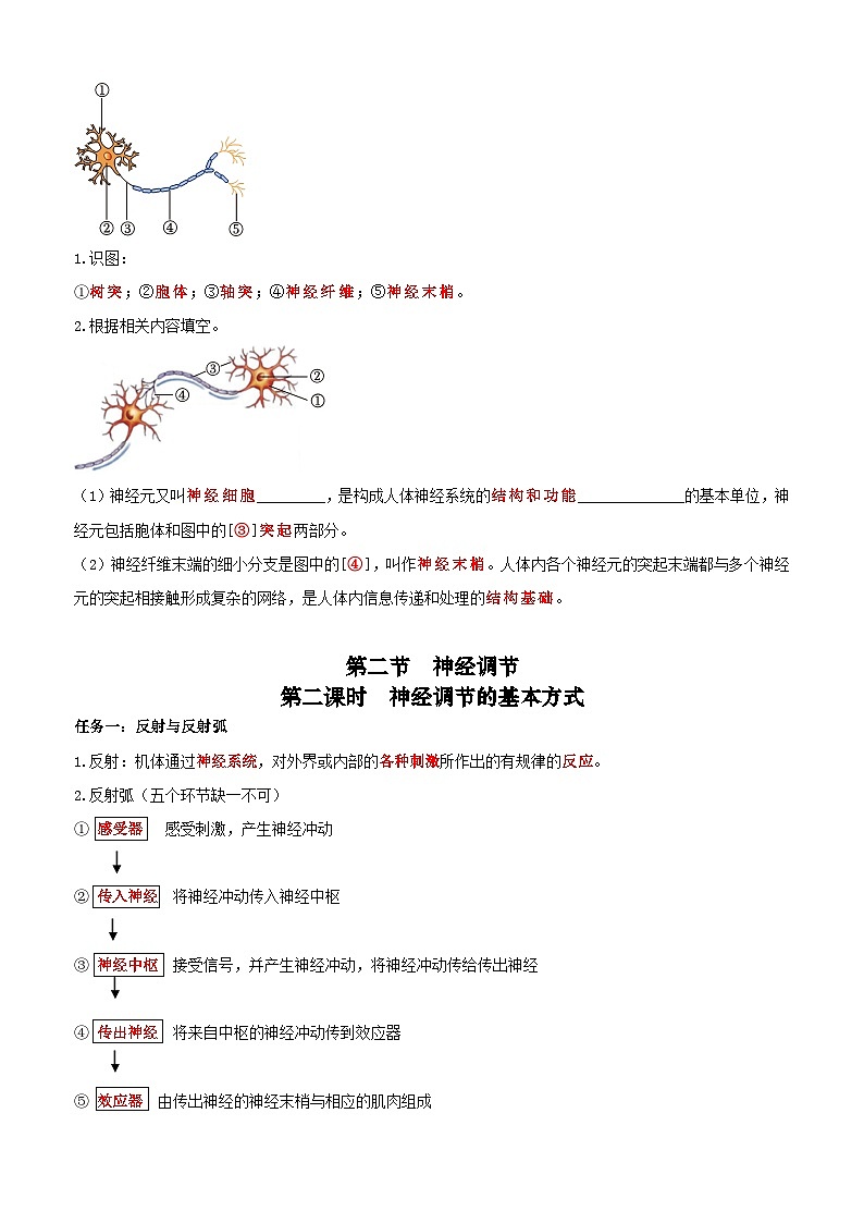 人教版（2024）八年级上册生物期末复习知识点背诵提纲 学案第3页