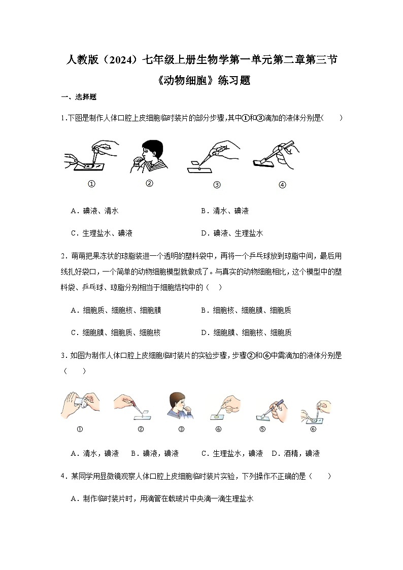 第一单元 生物和细胞第二章 认识细胞第三节动物细胞 练习题（含答案）2025-2026学年人教版七年级上册生物学第1页