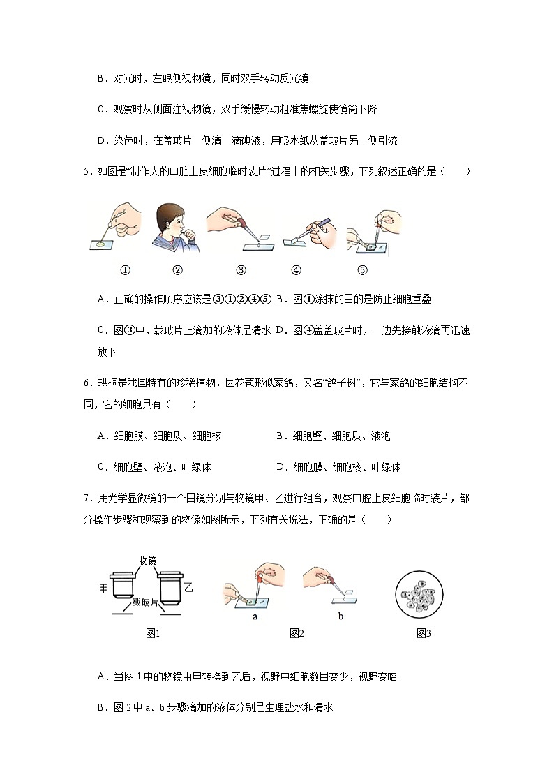 第一单元 生物和细胞第二章 认识细胞第三节动物细胞 练习题（含答案）2025-2026学年人教版七年级上册生物学第2页