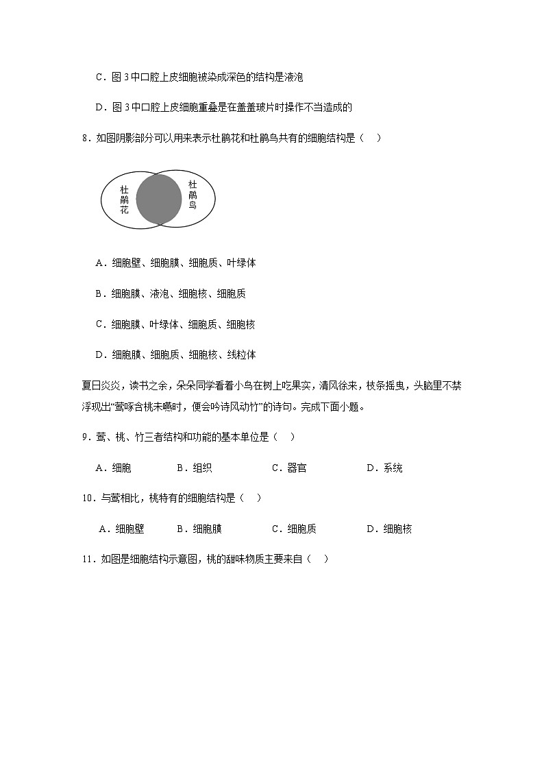 第一单元 生物和细胞第二章 认识细胞第三节动物细胞 练习题（含答案）2025-2026学年人教版七年级上册生物学第3页
