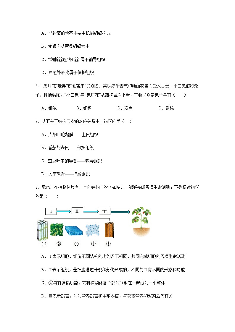 第一单元 生物和细胞第三章 从细胞到生物体植物体的结构层次 练习题（含答案）2025-2026学年人教版七年级上册生物学第2页