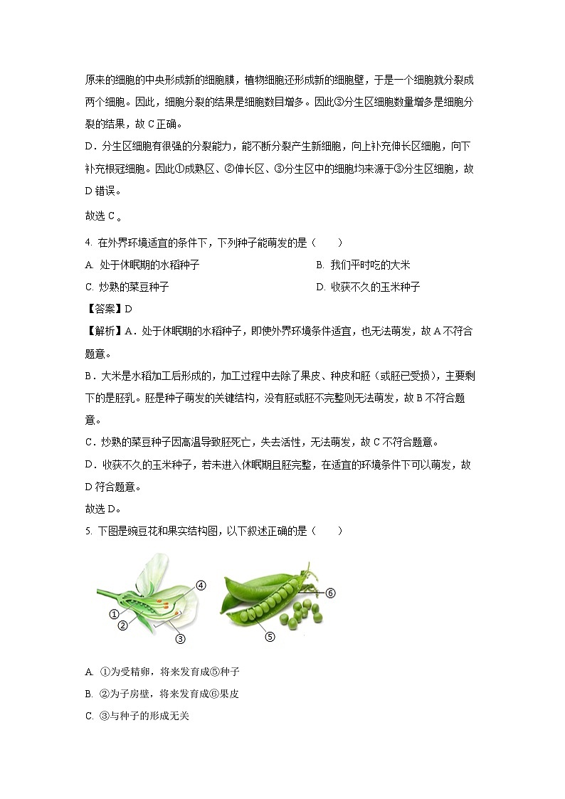 河南省信阳市新县2024-2025学年七年级下学期期末生物试卷（解析版）第3页