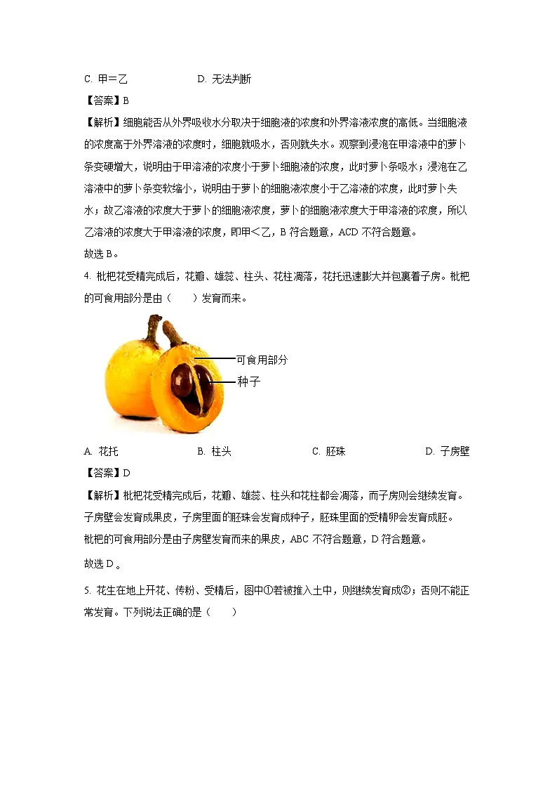 河南省信阳市平桥区2024-2025学年七年级下学期期末生物试卷（解析版）第2页
