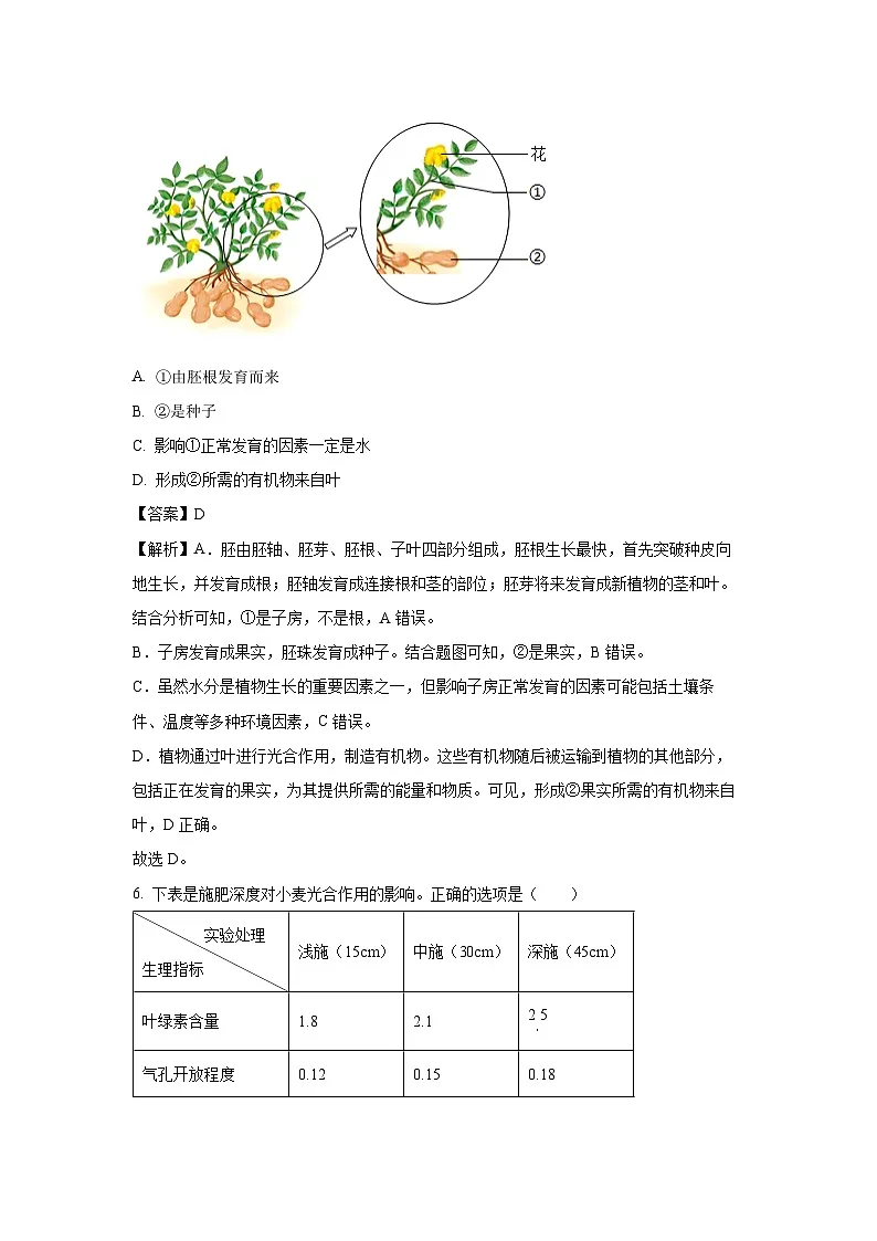 河南省信阳市平桥区2024-2025学年七年级下学期期末生物试卷（解析版）第3页