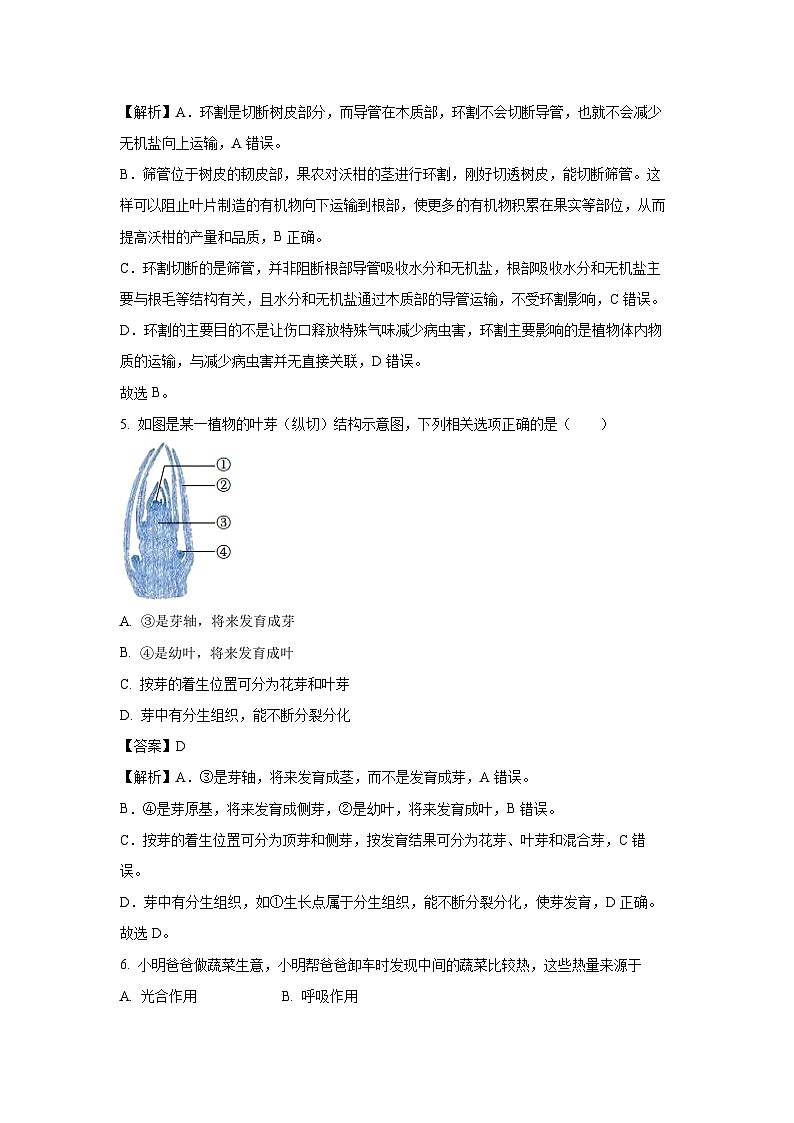 广西南宁市2024-2025学年七年级下学期期末生物试卷（解析版）第3页