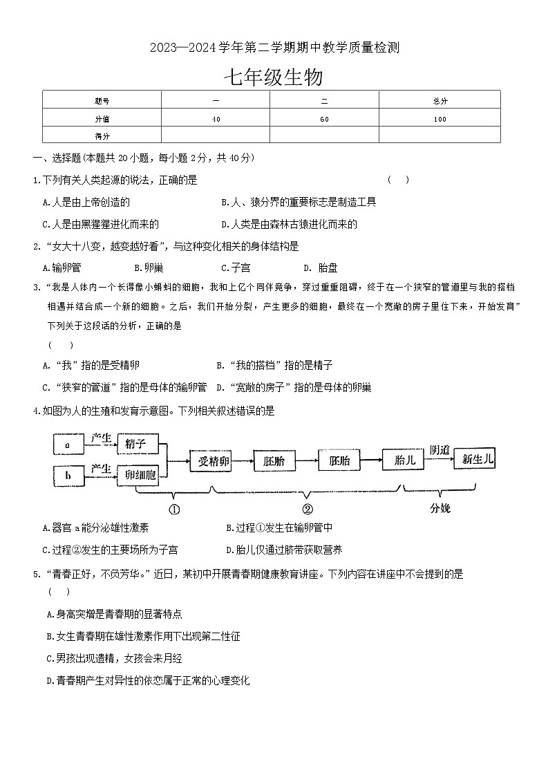 河南省许昌市襄城县2023-2024学年七年级下学期期中生物试题第1页