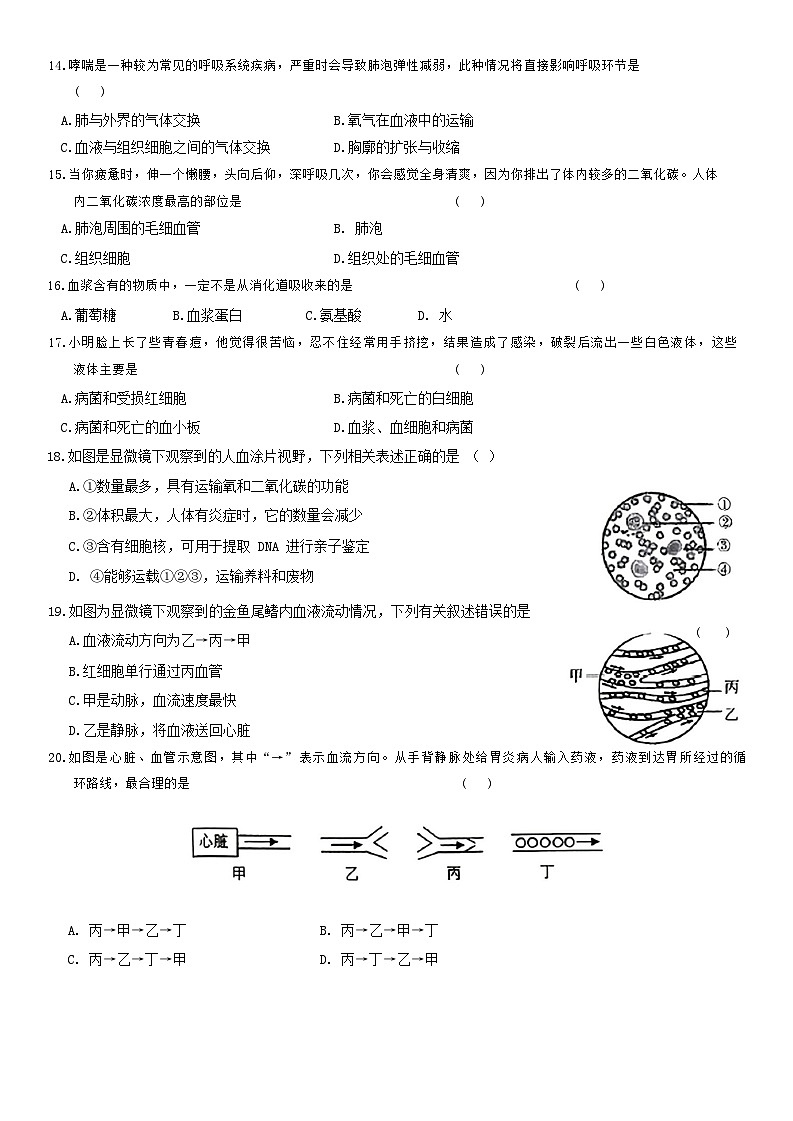 河南省许昌市襄城县2023-2024学年七年级下学期期中生物试题第3页