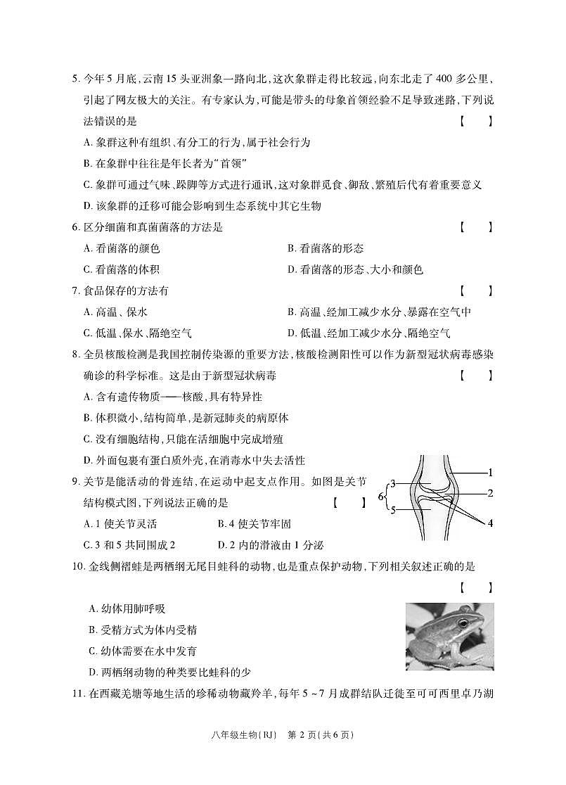 河南省永城市实验中学2023-2024学年八年级上学期第2次月考生物试卷第2页