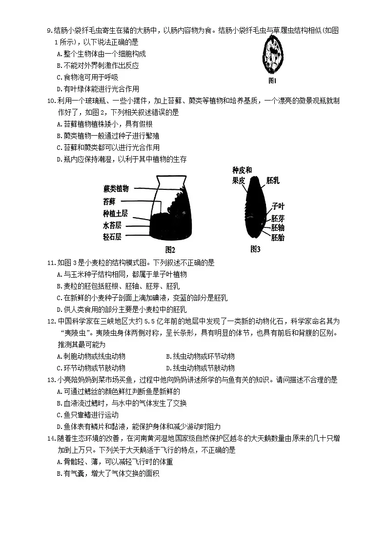 河南省郑州经开区外国语学校2024-2025学年七年级上学期期末生物试题第2页