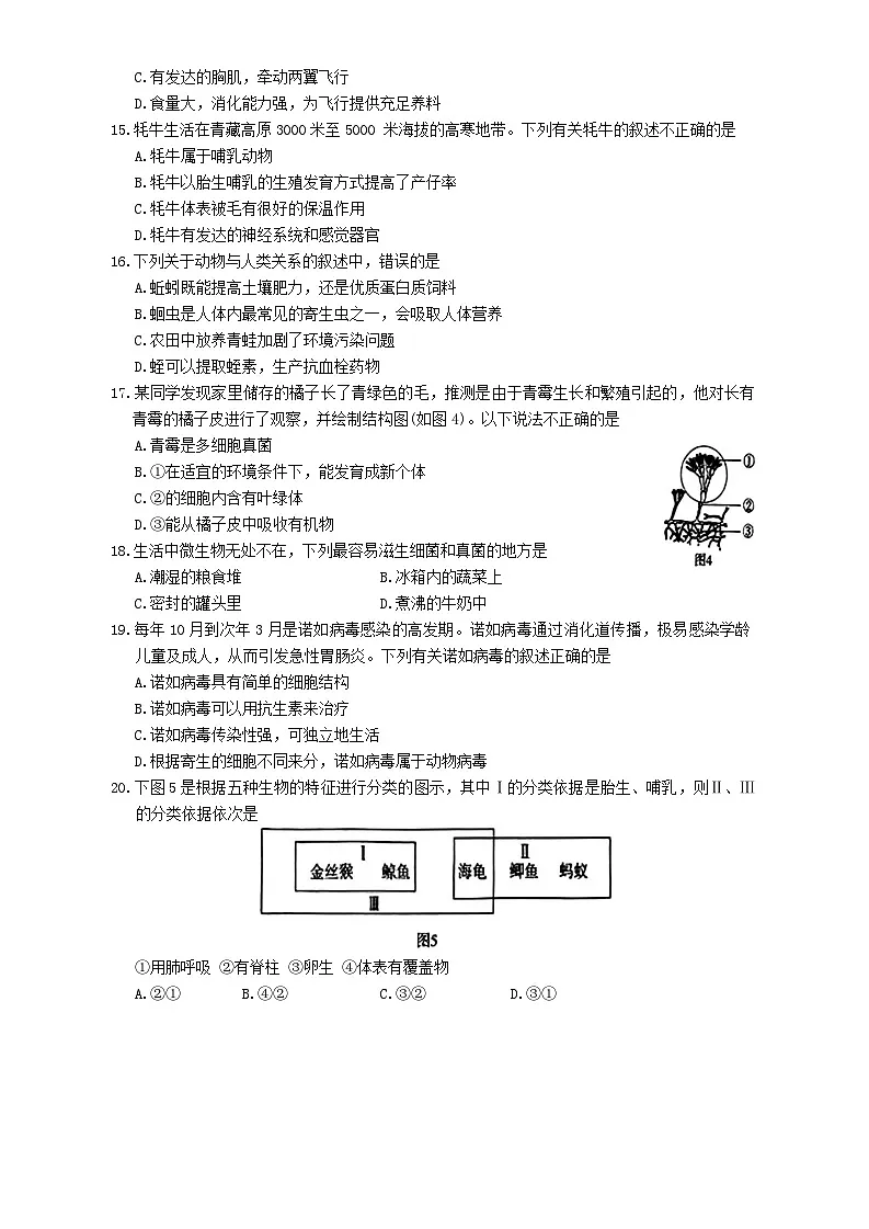 河南省郑州经开区外国语学校2024-2025学年七年级上学期期末生物试题第3页