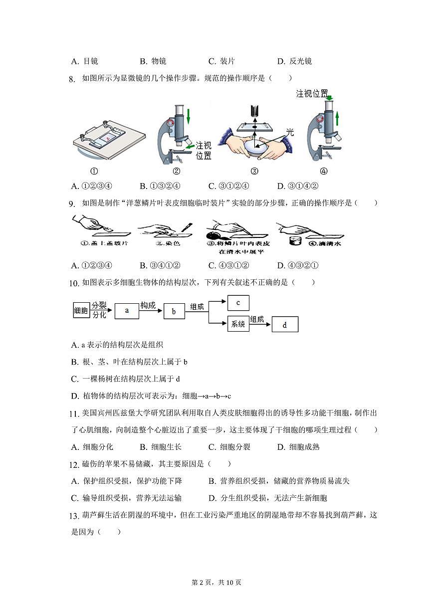 2025秋新版七年级（上）期中生物试卷含答案第2页