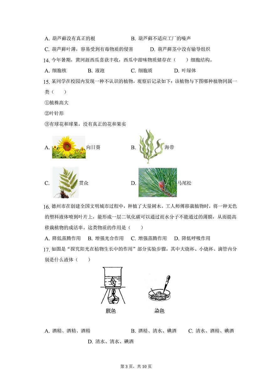 2025秋新版七年级（上）期中生物试卷含答案第3页