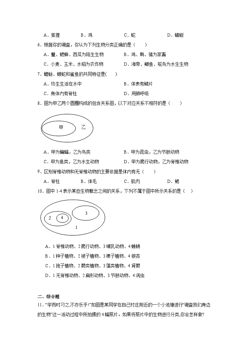 2.4.1尝试对生物进行分类练习题（含答案）2025-2026学年人教版七年级上册生物学第2页