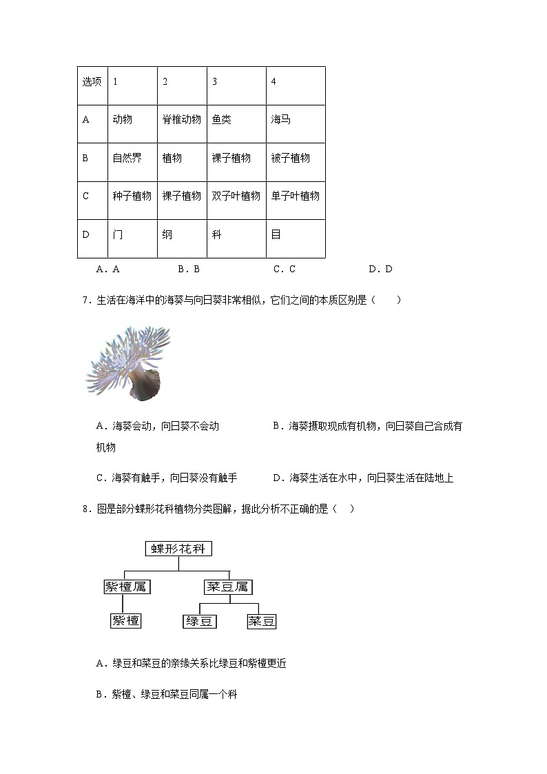 2.4.2从种到界 练习题（含答案）2025-2026学年人教版七年级上册生物学第2页
