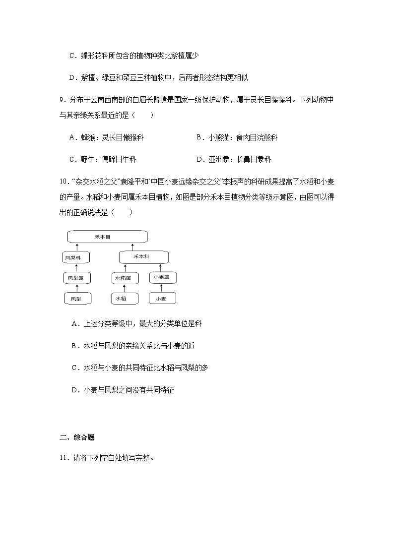 2.4.2从种到界 练习题（含答案）2025-2026学年人教版七年级上册生物学第3页