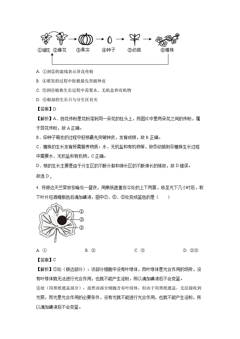 重庆市开州区2024-2025学年七年级下学期期末生物试题（解析版）第2页