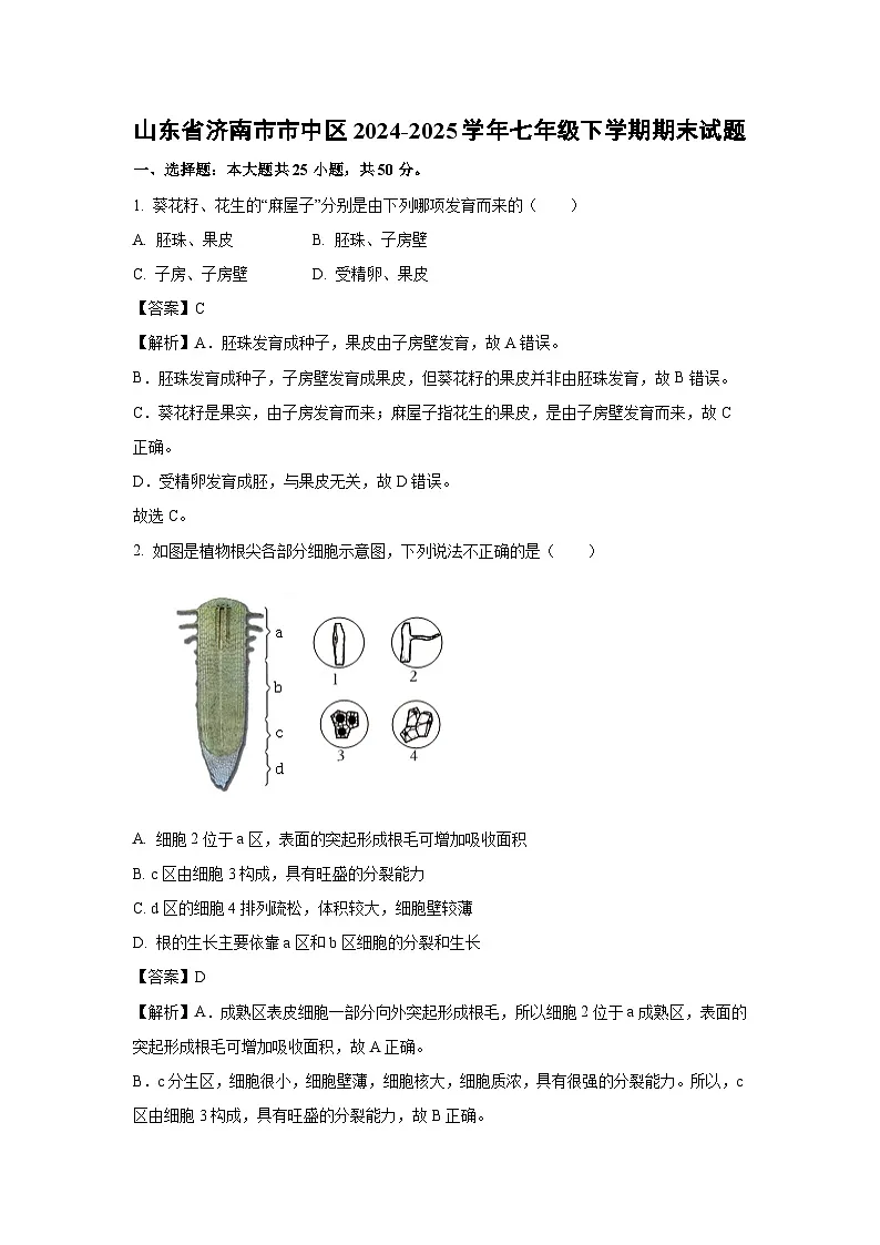 山东省济南市市中区2024-2025学年七年级下学期期末生物试题（解析版）第1页