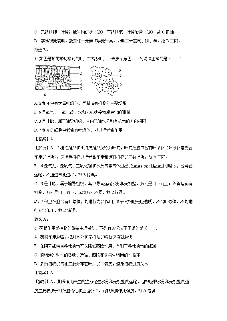 山东省济南市市中区2024-2025学年七年级下学期期末生物试题（解析版）第3页